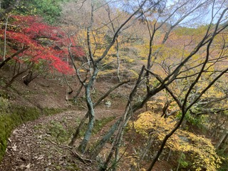 11月25日高取山秦野市山頂