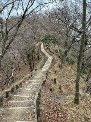 11月25日大山山頂周辺落葉