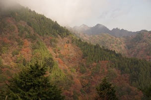 11月27日見晴台から大山方向