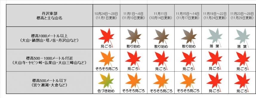 11月29日更新丹沢東部紅葉表