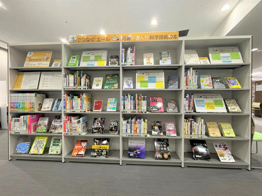 展示1