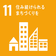 SDGs11