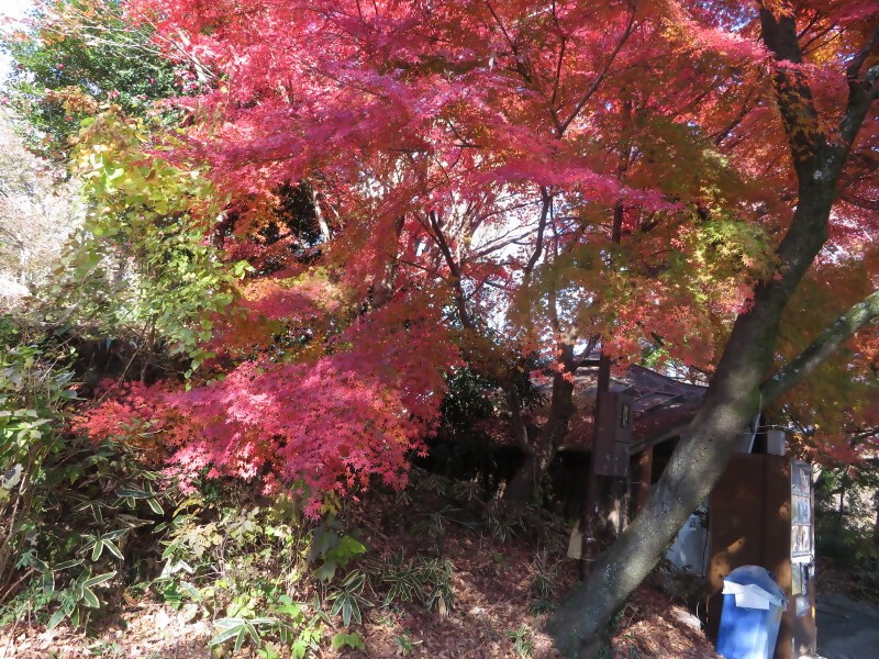 1206弘法山山頂周辺