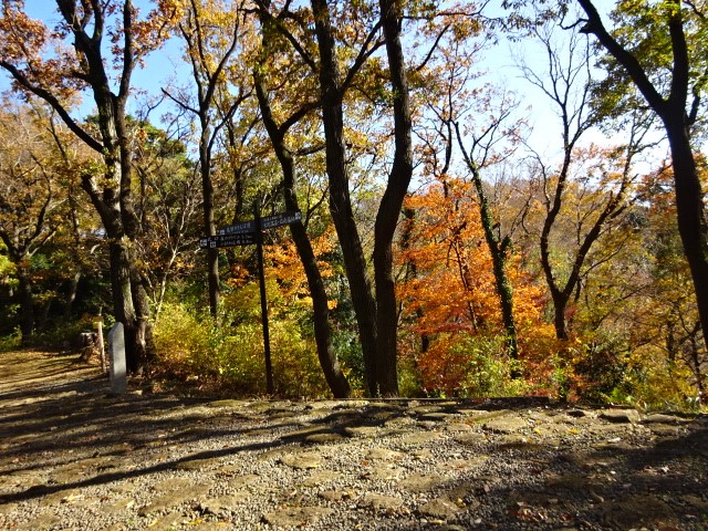 1208順礼峠