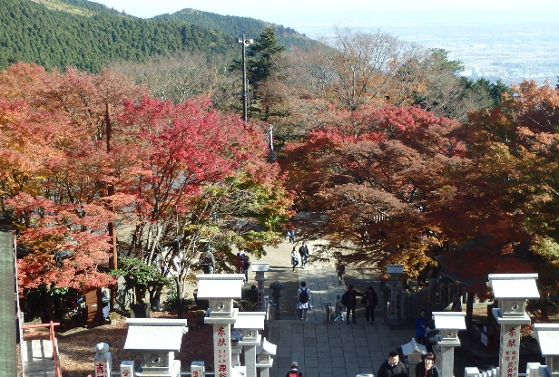 11月29日大山阿夫利神社下社