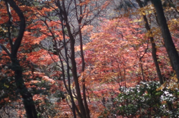 12月12日物見峠から辺室山の間