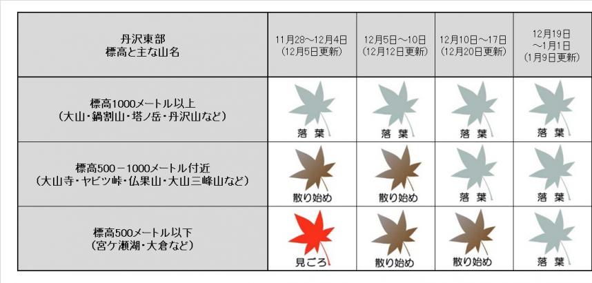 1月9日更新丹沢東部紅葉表