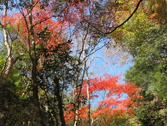 11月29日不老山