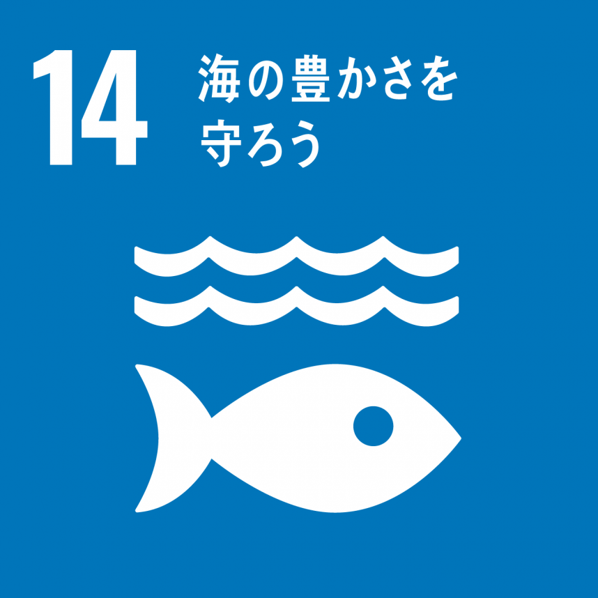 SDGs3