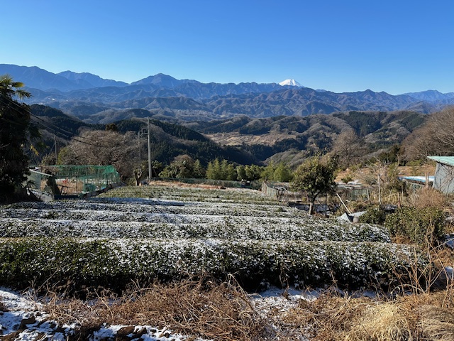 jinbaochiai