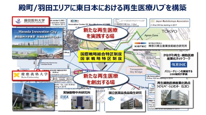 殿町/羽田エリアに東日本における再生医療ハブを構築