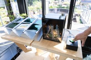 展示状況_その2