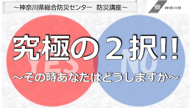 チラシ上部