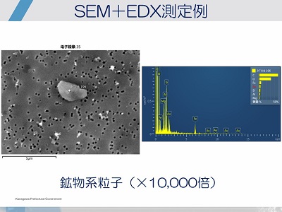SEM&EDX測定例