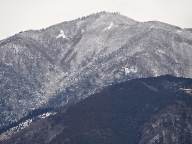 2月6日伊勢原市から見た大山