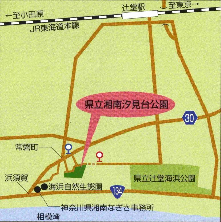 湘南汐見台公園地図
