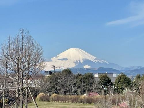 富士見百景ポイントからの富士山