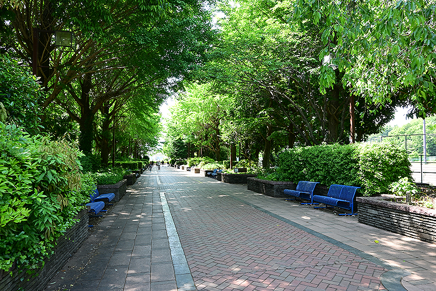 春先の芸術のプロムナード