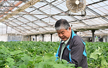 杉山さんの農耕方法