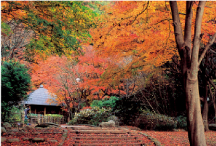 縣立七瀨森林公園