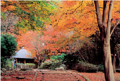 縣立七瀨森林公園