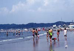 材木座海水浴場の写真