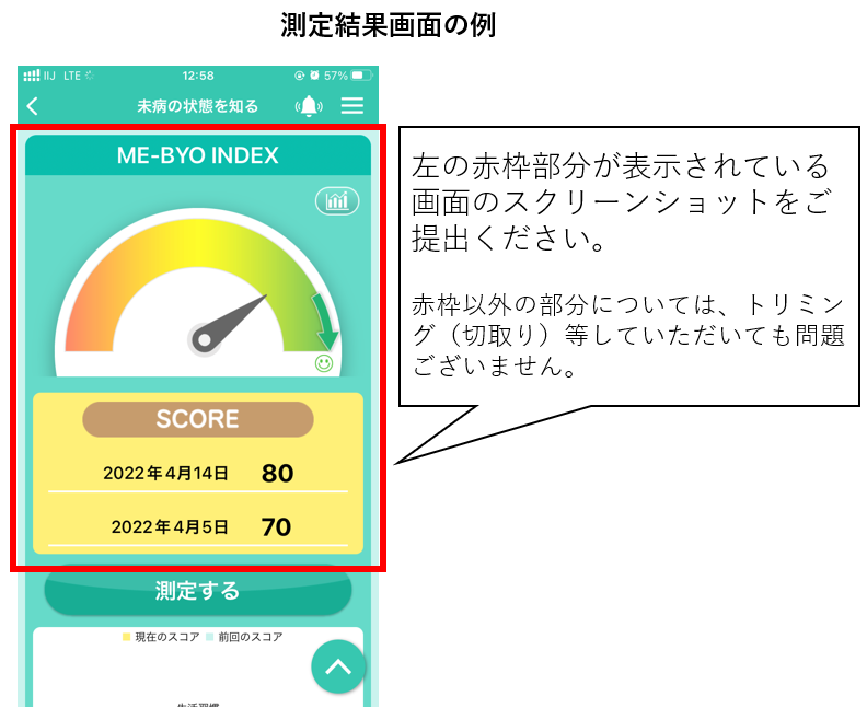 結果の提出について