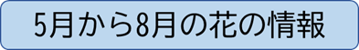 5月から8月の花の情報