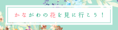 花を見に行こう