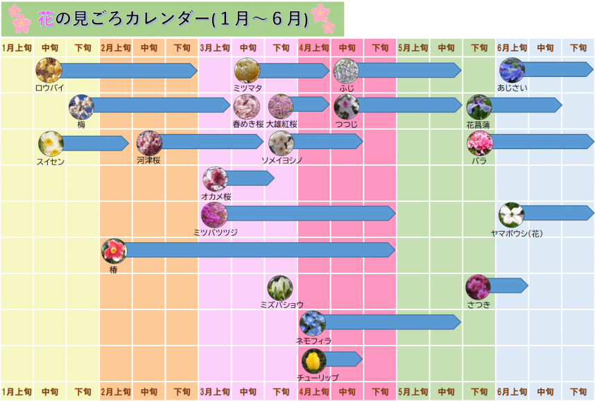 花のカレンダー1月～6月