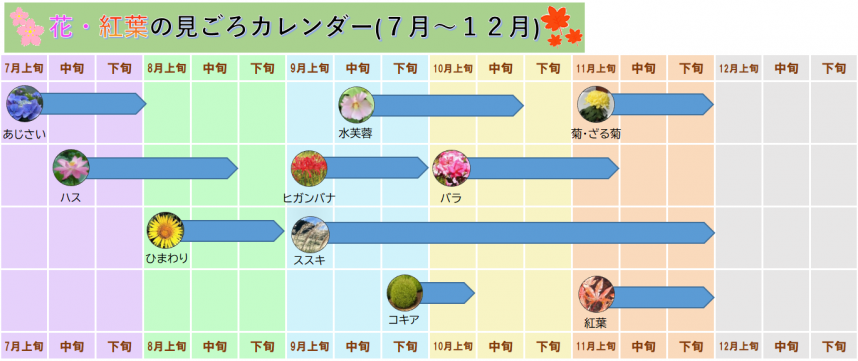 花のカレンダー7月～12月
