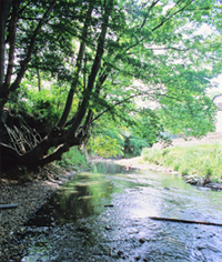 上流域（相模原市相原付近）