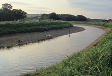 下流域（横浜市泉区下飯田町付近）