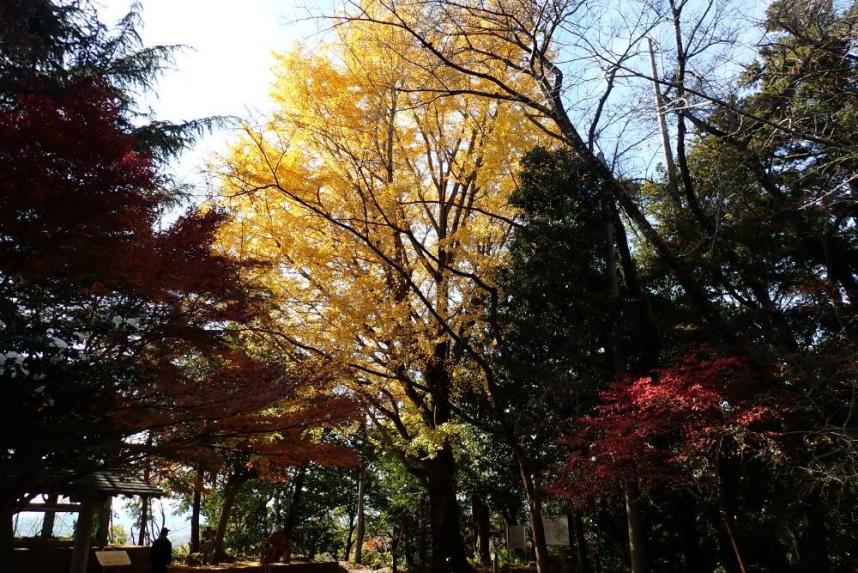 弘法山　山頂