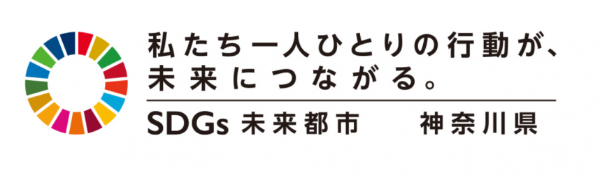 sdgslogo