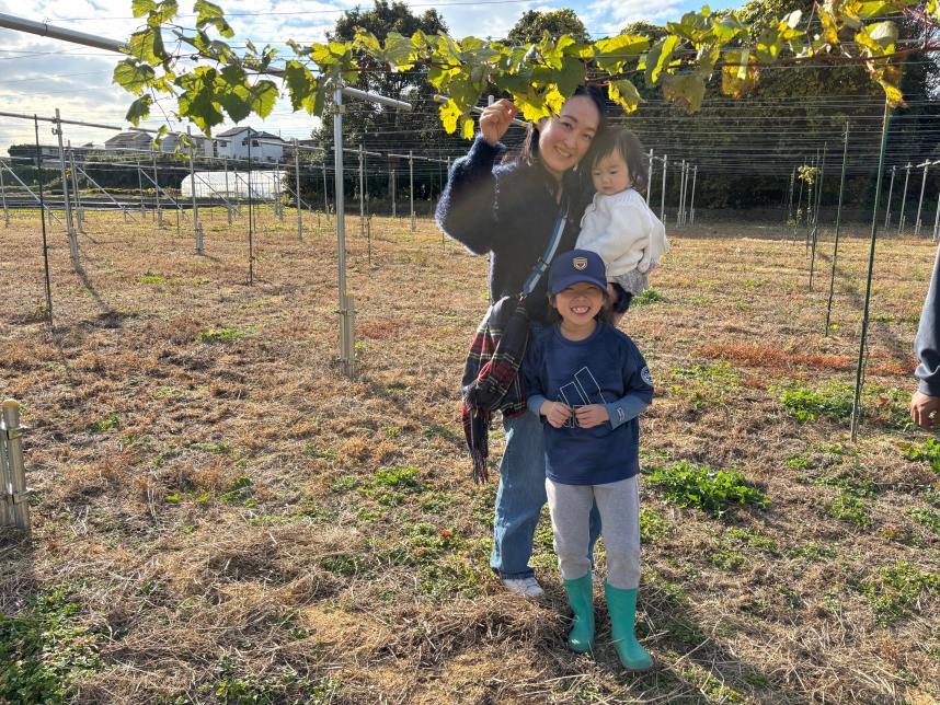 ぶどうの苗木成長写真