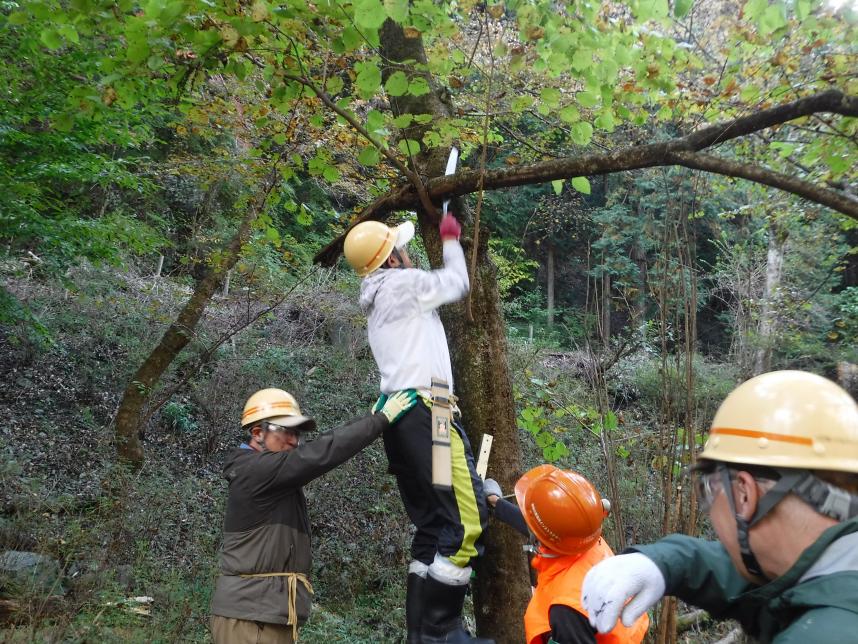 はしごを使った作業