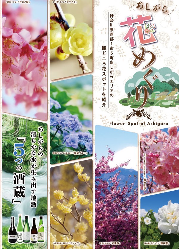 「あしがら花めぐり」表紙