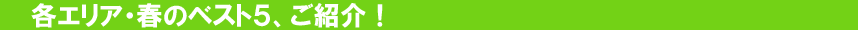 春のベスト5