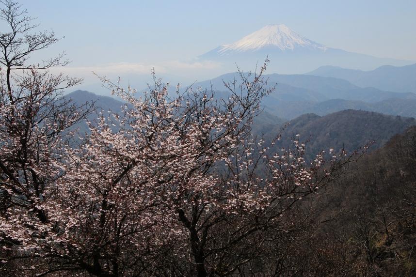 0427omuroyamainukoshi.
