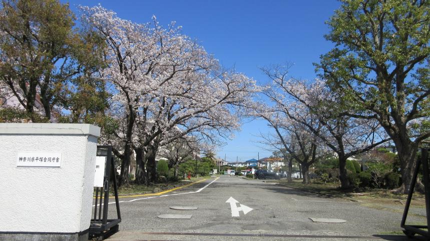 平塚合同庁舎仮庁舎正門の写真