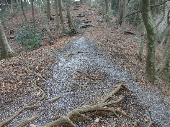 高取山山頂