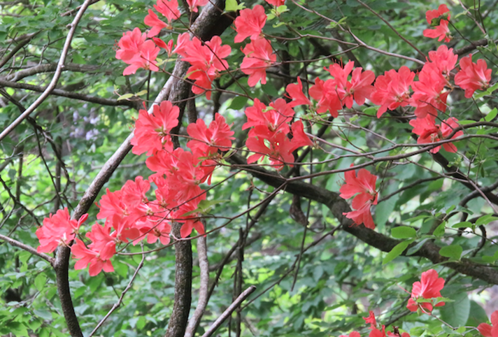 塩水橋周辺
