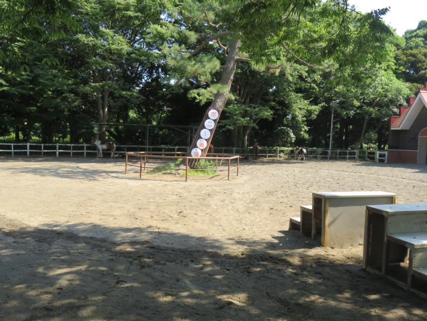 ポニー乗車