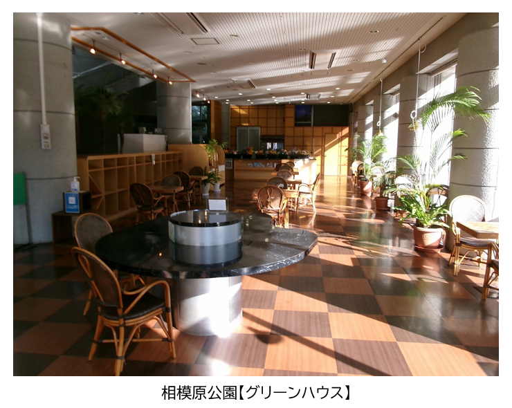 相模原公園2