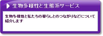 生物多様性と生態系サービス