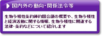 国内外の動向・関係法令等