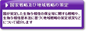 国家戦略および地域戦略の策定