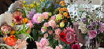 rinnonflowers