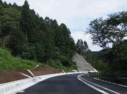 koujityuu